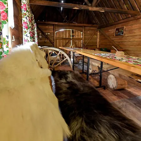 Villagiewont Homestay Koscielisko